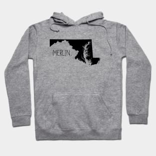 Merlin Hoodie